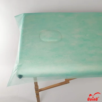 Egyszer használatos Higiéniai/Masszázs lepedő 70x200 cm Világoszöld 20 db