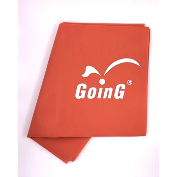 GOING BV GOING logo.jpg