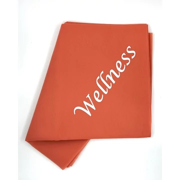 GOING BV Wellness logo.jpg