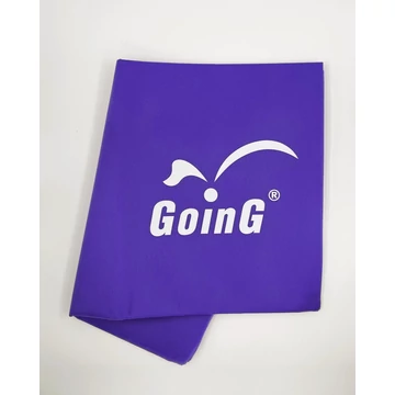 GOING L GOING logo.jpg