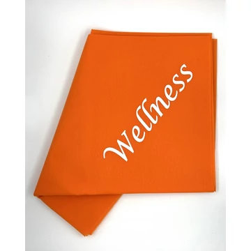 GOING N Wellness logo.jpg