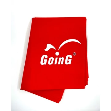 GOING P GOING logo.jpg