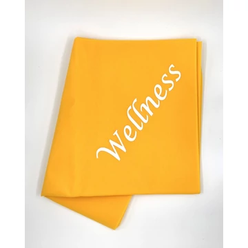 GOING S Wellness logo.jpg