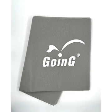 GOING SZ GOING logo.jpg