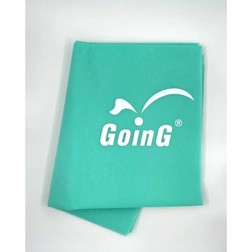 GOING VZ GOING logo.jpg