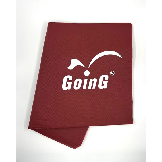 GOING B GOING logo.jpg