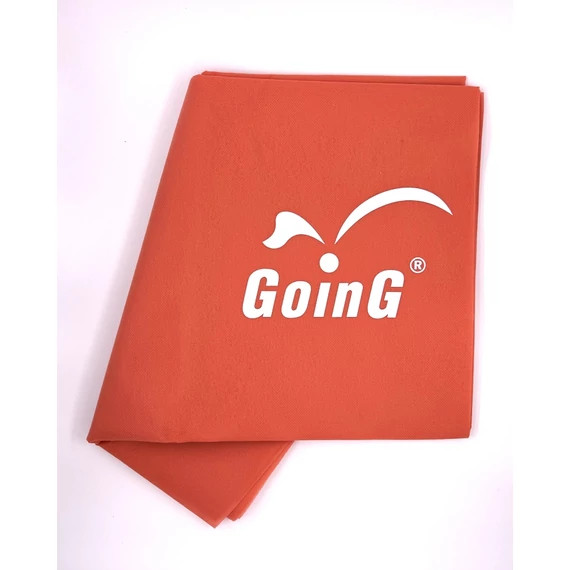 GOING BV GOING logo.jpg