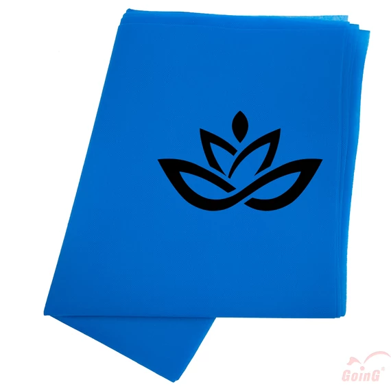 GOING KK Lotusz FK.jpg