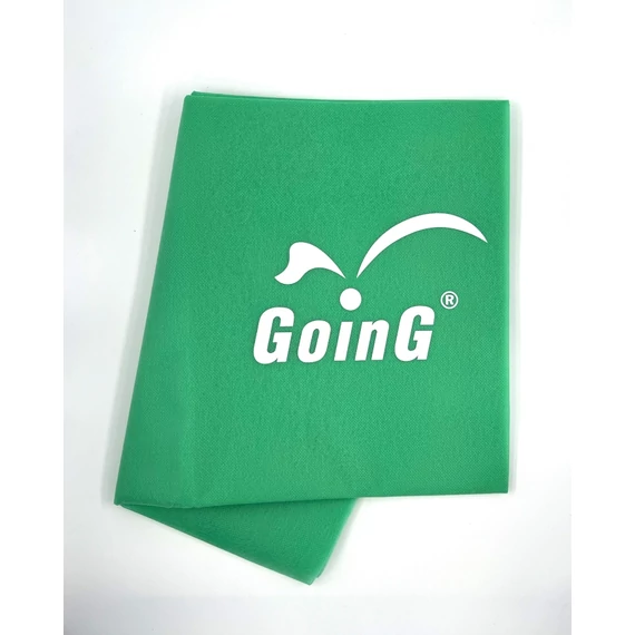 GOING KZ GOING logo.jpg