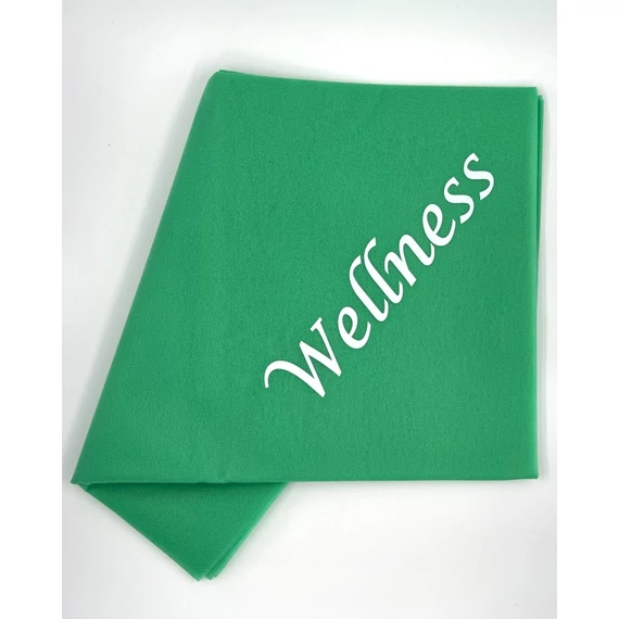 GOING KZ Wellness logo.jpg