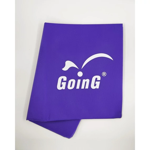 GOING L GOING logo.jpg