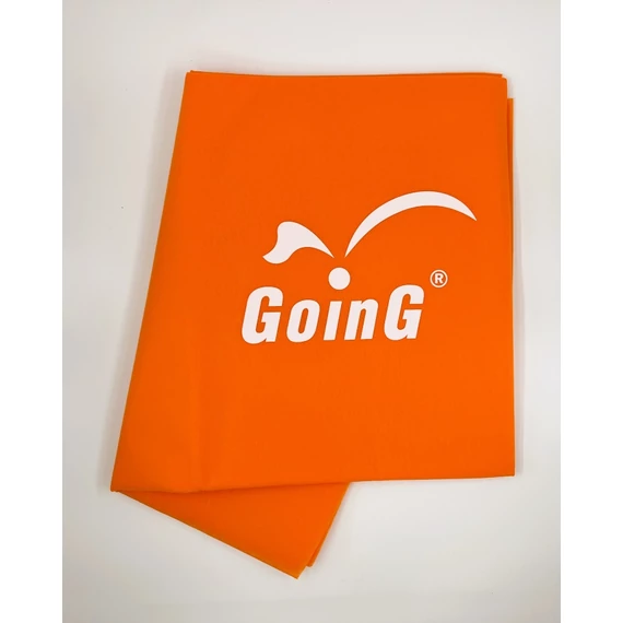 GOING N GOING logo.jpg