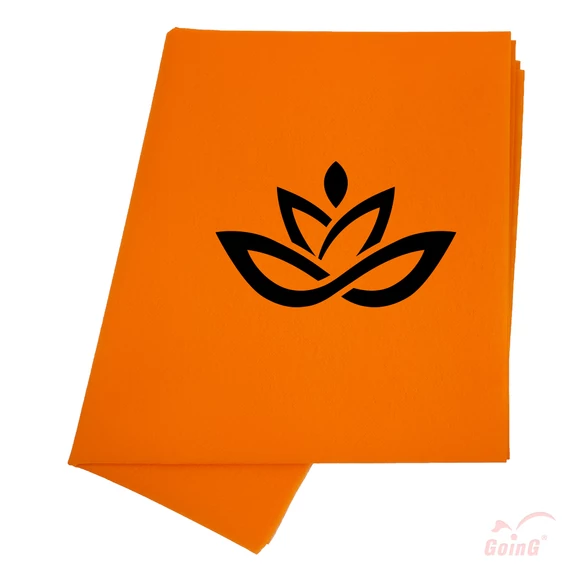 GOING N Lotusz FK.jpg