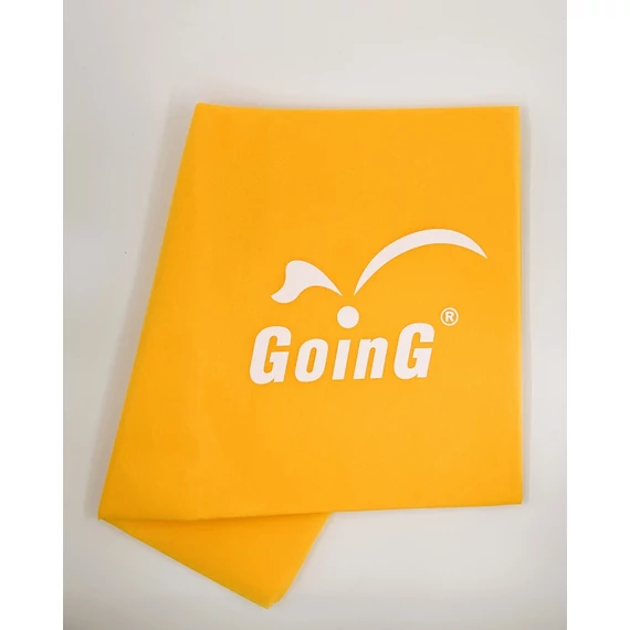 GOING S GOING logo.jpg