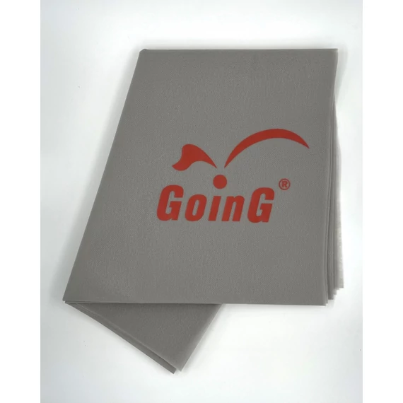GOING SZ GOING logo P.jpg