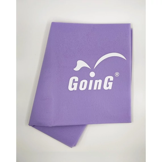 GOING VL GOING logo.jpg