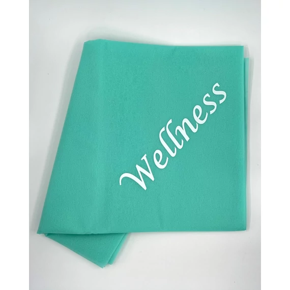 GOING VZ Wellness logo.jpg